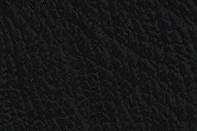 Vitello Nero €89